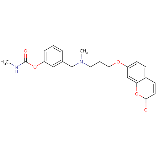 Chemical structure of BindingDB Monomer ID 10923