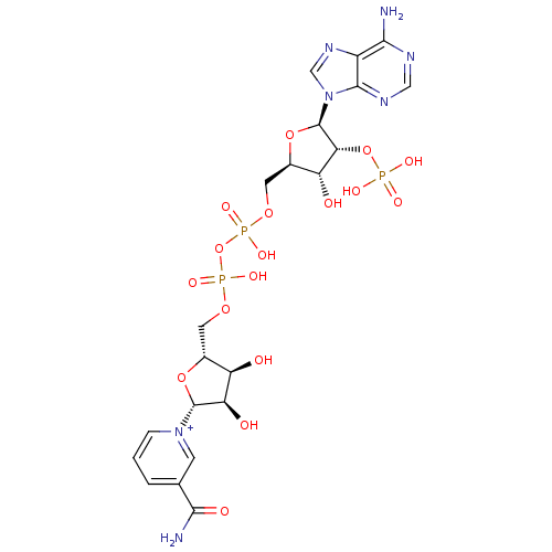 Chemical structure of BindingDB Monomer ID 11939