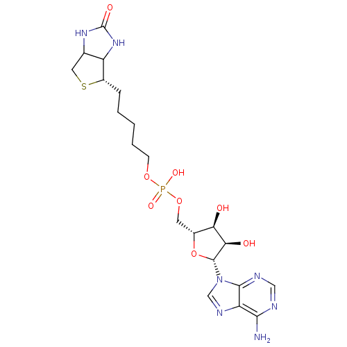Chemical structure of BindingDB Monomer ID 19477