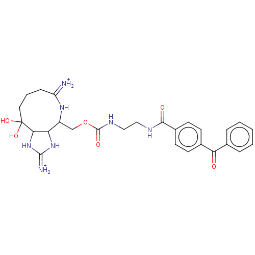 Chemical structure of BindingDB Monomer ID 190243