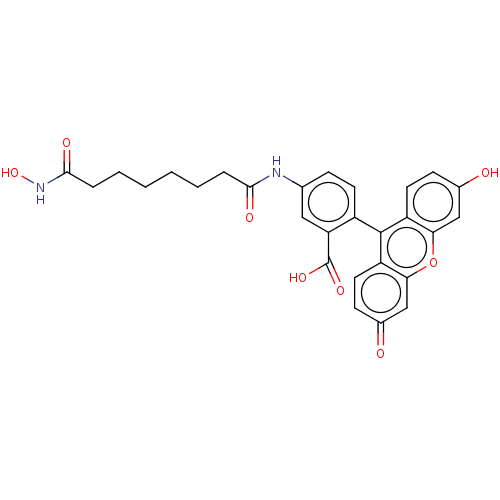 Chemical structure of BindingDB Monomer ID 198125