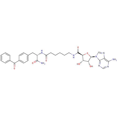 Chemical structure of BindingDB Monomer ID 27239