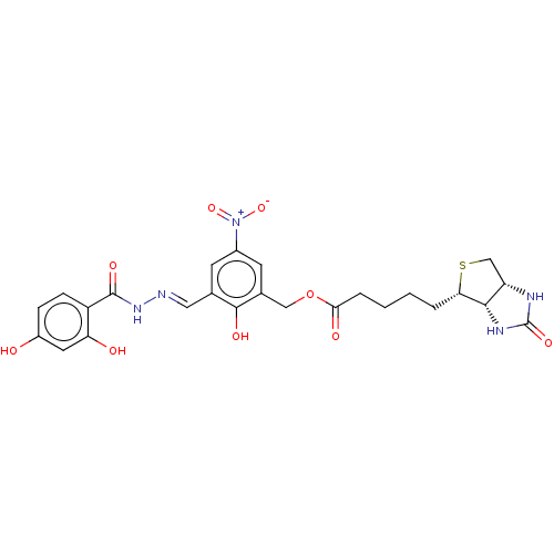Chemical structure of BindingDB Monomer ID 209928