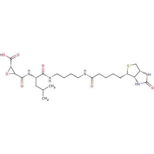 Chemical structure of BindingDB Monomer ID 240233