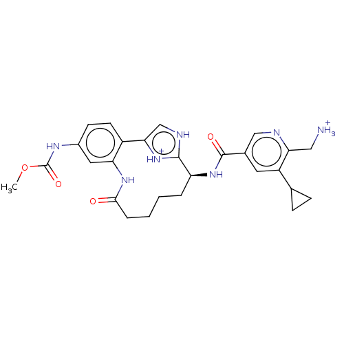 Chemical structure of BindingDB Monomer ID 388638