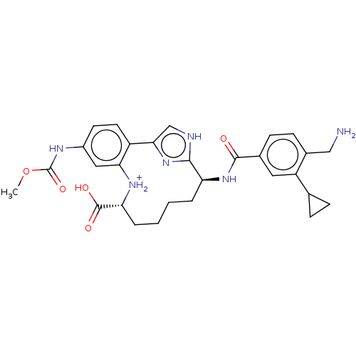Chemical structure of BindingDB Monomer ID 388639