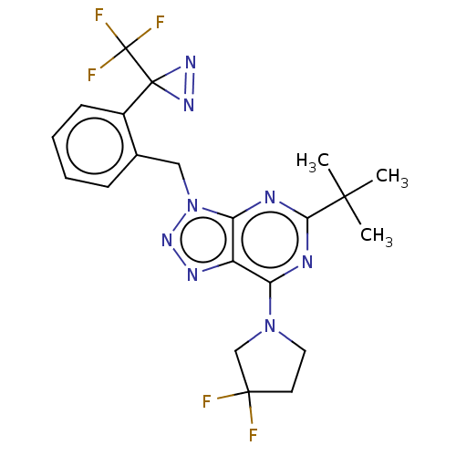Chemical structure of BindingDB Monomer ID 419260