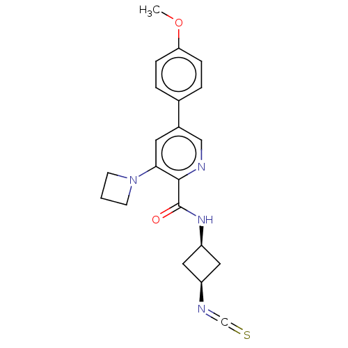 Chemical structure of BindingDB Monomer ID 447502