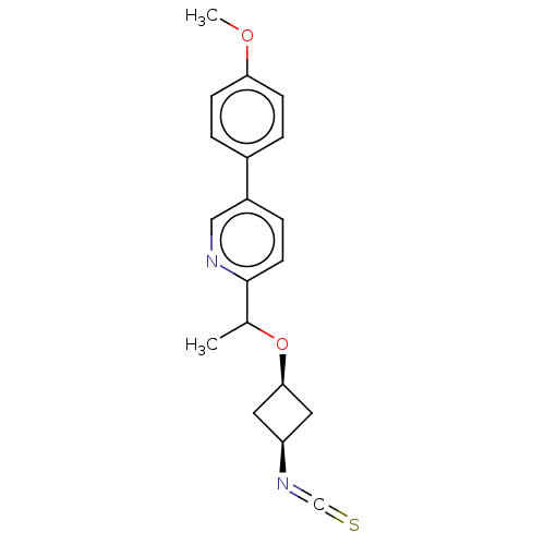 Chemical structure of BindingDB Monomer ID 447503