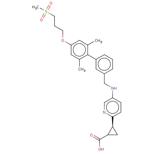 Chemical structure of BindingDB Monomer ID 482730