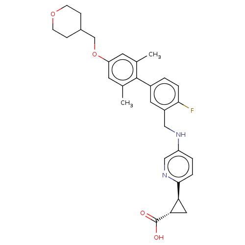Chemical structure of BindingDB Monomer ID 482776