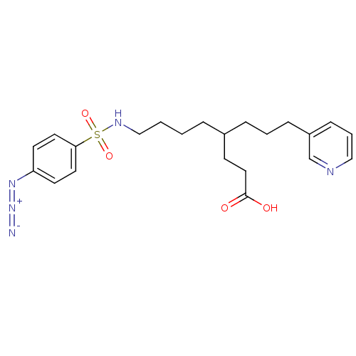 Chemical structure of BindingDB Monomer ID 50003794