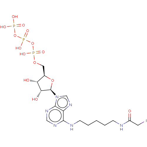 Chemical structure of BindingDB Monomer ID 50010316