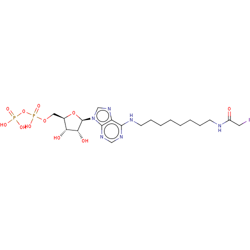 Chemical structure of BindingDB Monomer ID 50016876