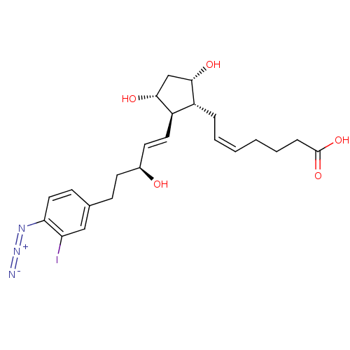 Chemical structure of BindingDB Monomer ID 50020303