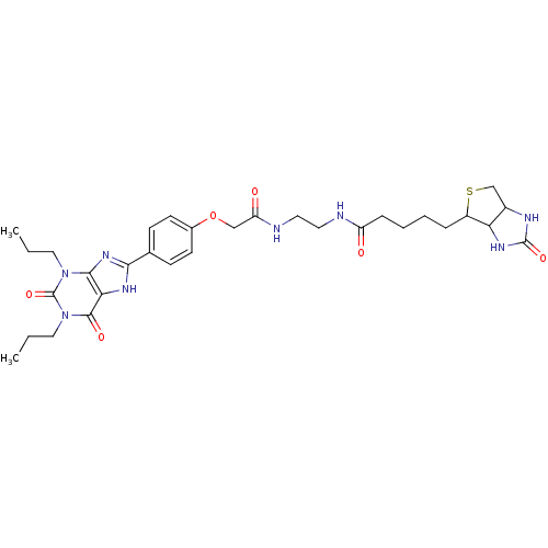Chemical structure of BindingDB Monomer ID 50021081