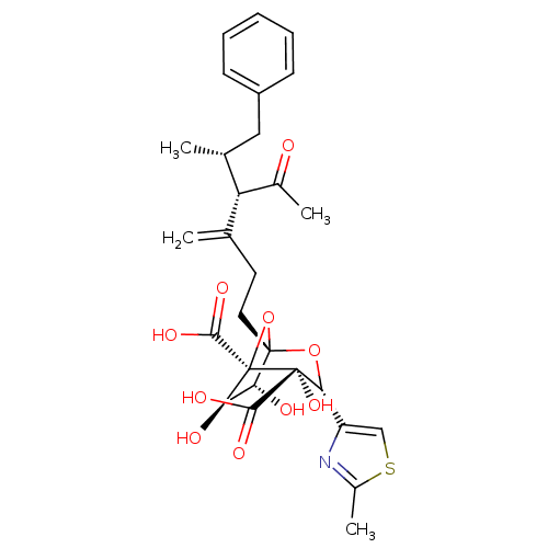 Chemical structure of BindingDB Monomer ID 50033189