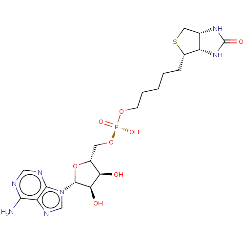 Chemical structure of BindingDB Monomer ID 50039492