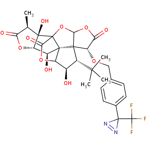 Chemical structure of BindingDB Monomer ID 50118203