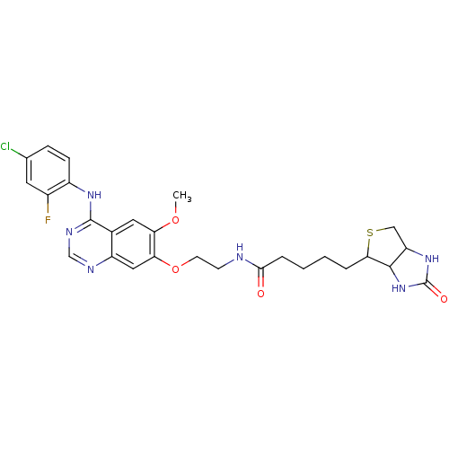 Chemical structure of BindingDB Monomer ID 50175256