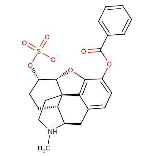 Chemical structure of BindingDB Monomer ID 50189253
