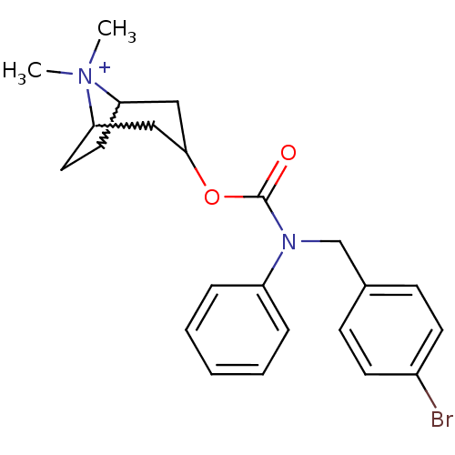 Chemical structure of BindingDB Monomer ID 50223961