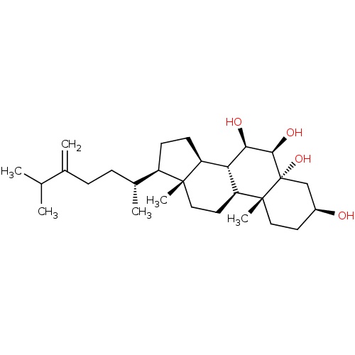 Chemical structure of BindingDB Monomer ID 50241893