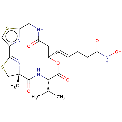 Chemical structure of BindingDB Monomer ID 50242138
