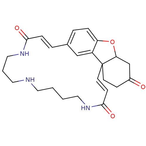 Chemical structure of BindingDB Monomer ID 50243034