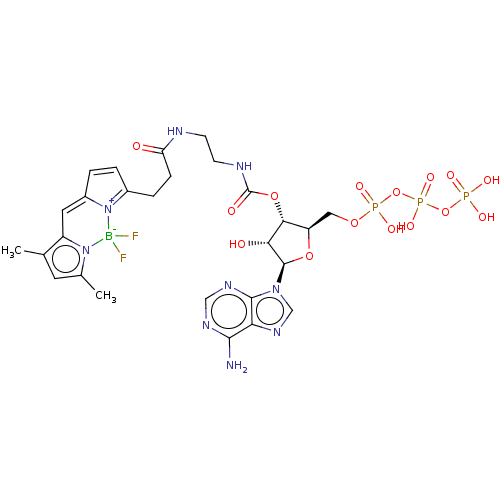 Chemical structure of BindingDB Monomer ID 50243383