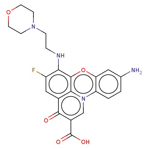 Chemical structure of BindingDB Monomer ID 50259242