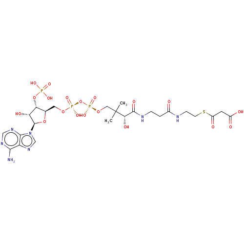 Chemical structure of BindingDB Monomer ID 50260111