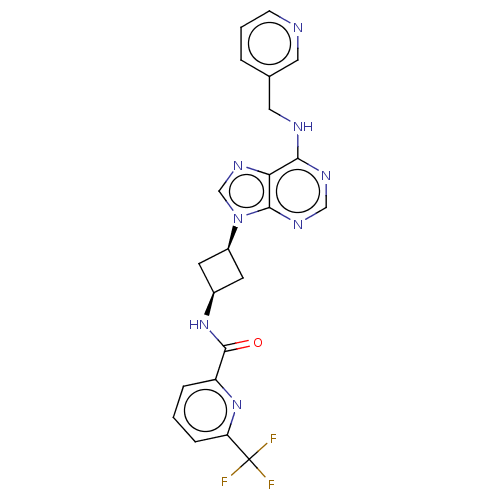 Chemical structure of BindingDB Monomer ID 50261212