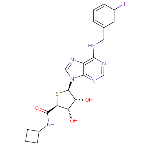 Chemical structure of BindingDB Monomer ID 50304633