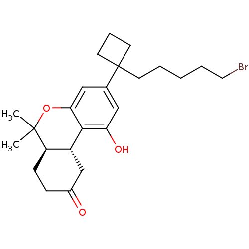 Chemical structure of BindingDB Monomer ID 50328669