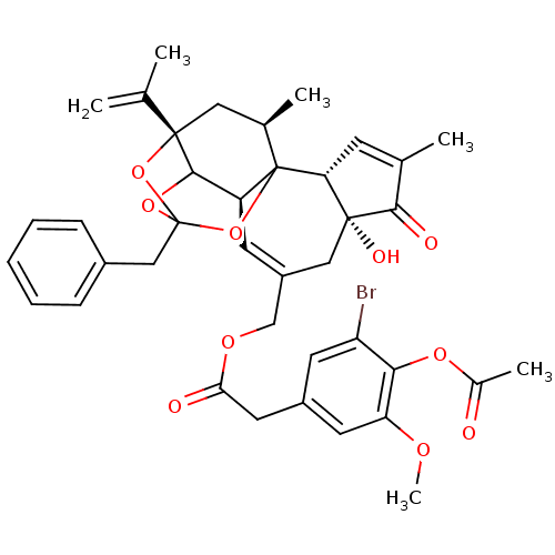 Chemical structure of BindingDB Monomer ID 50333928