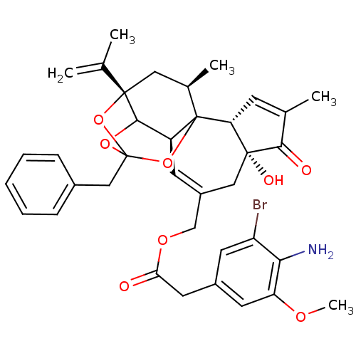 Chemical structure of BindingDB Monomer ID 50333933