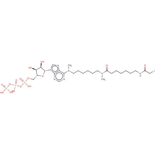 Chemical structure of BindingDB Monomer ID 50367066