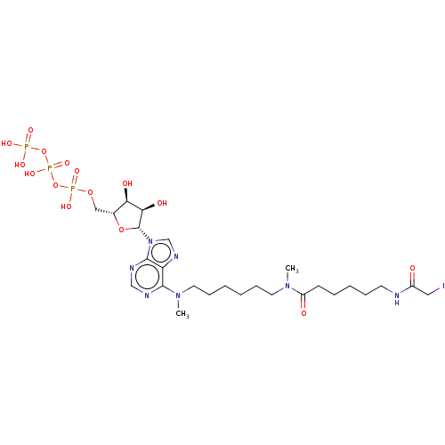 Chemical structure of BindingDB Monomer ID 50367073