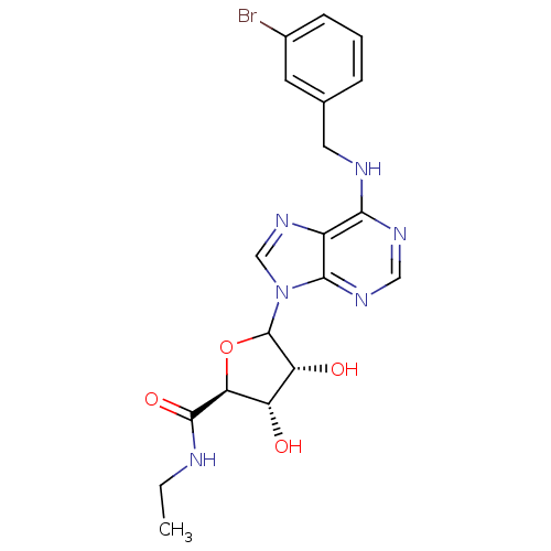Chemical structure of BindingDB Monomer ID 50368979