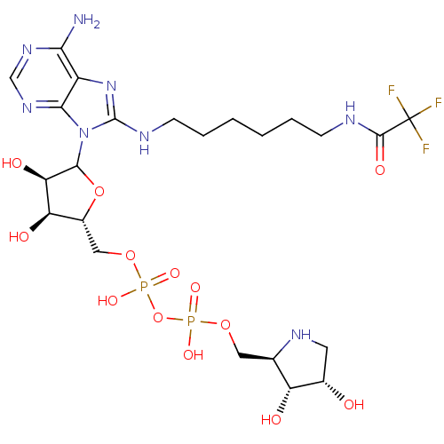 Chemical structure of BindingDB Monomer ID 50370284