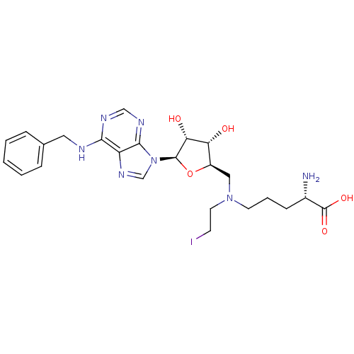 Chemical structure of BindingDB Monomer ID 50396016