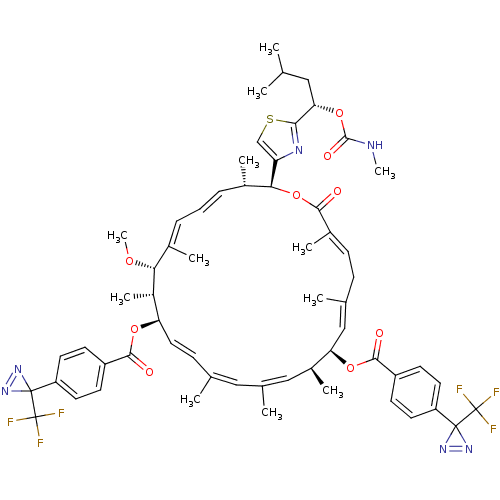 Chemical structure of BindingDB Monomer ID 50402216