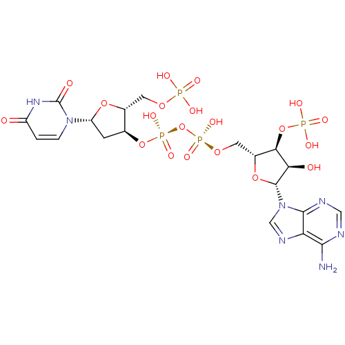 Chemical structure of BindingDB Monomer ID 50402338