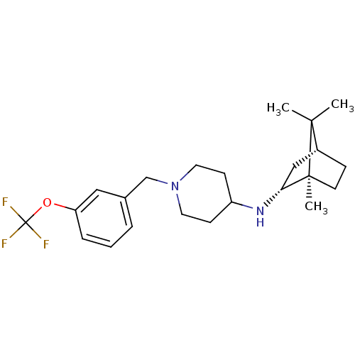 Chemical structure of BindingDB Monomer ID 50413593
