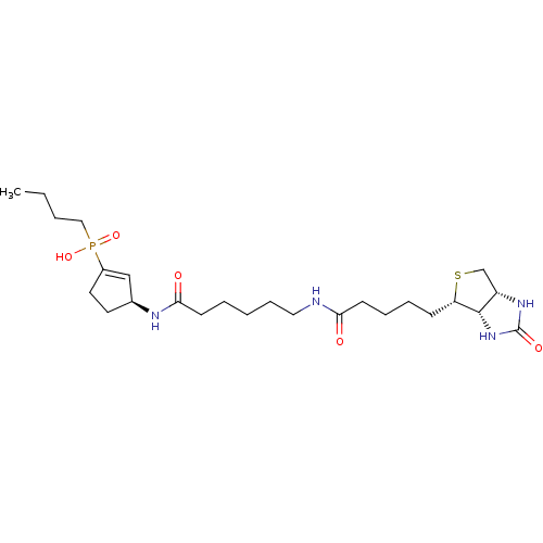 Chemical structure of BindingDB Monomer ID 50428275