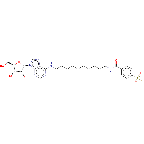 Chemical structure of BindingDB Monomer ID 50558740