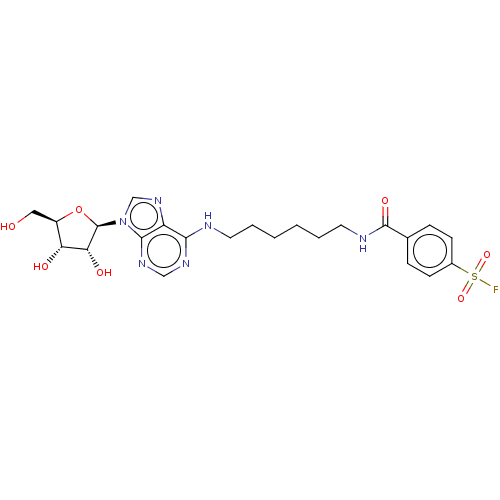 Chemical structure of BindingDB Monomer ID 50558744