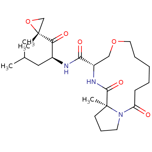 Chemical structure of BindingDB Monomer ID 50573706