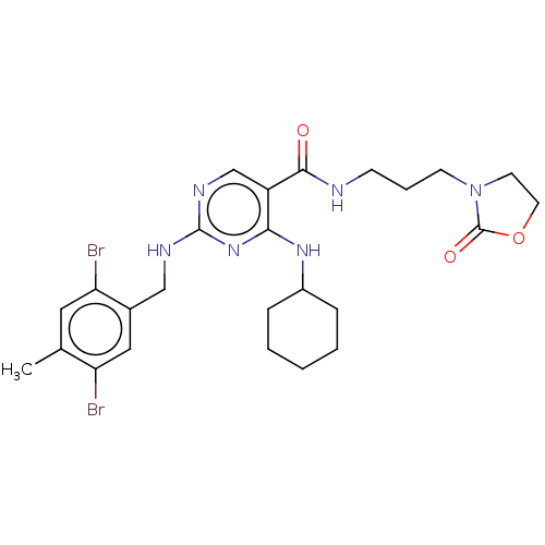 Chemical structure of BindingDB Monomer ID 50574224